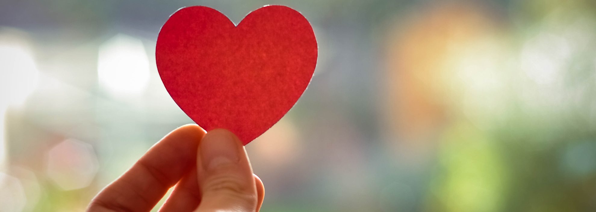 hand holding paper heart