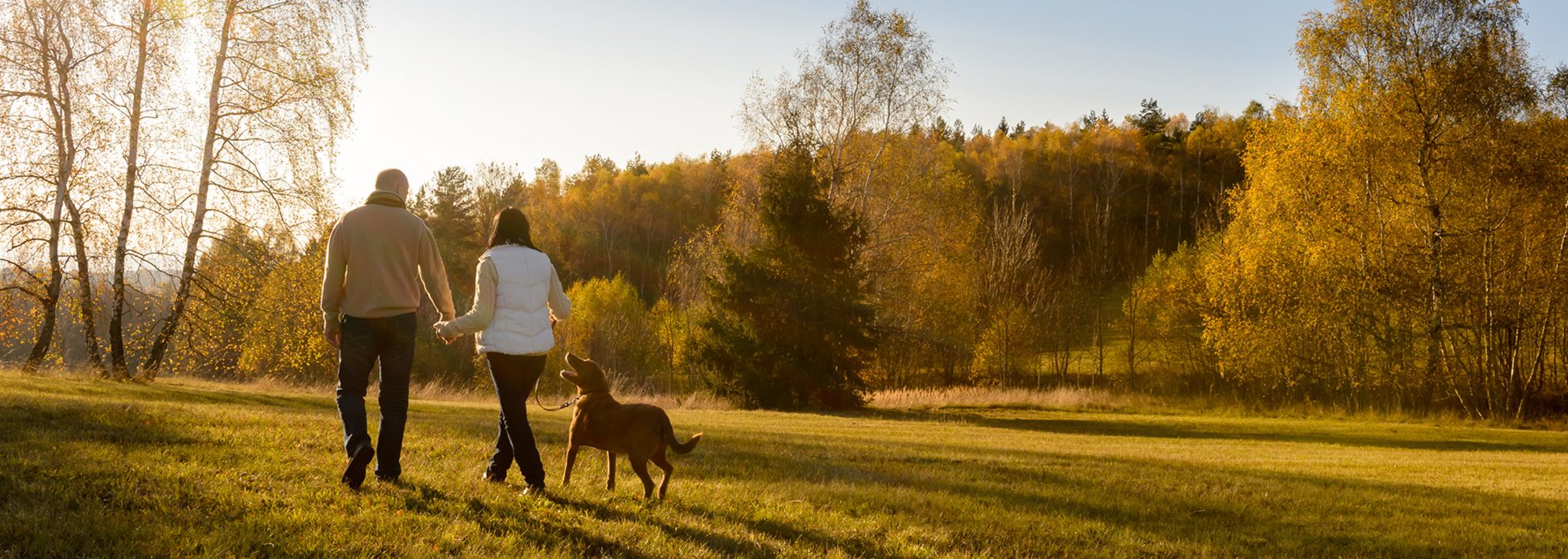 couple walking dog