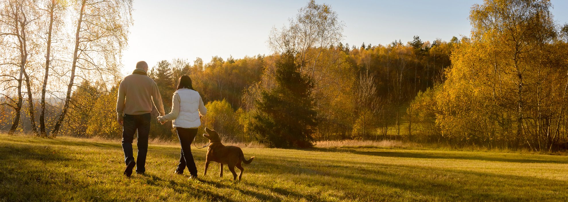 couple walking dog